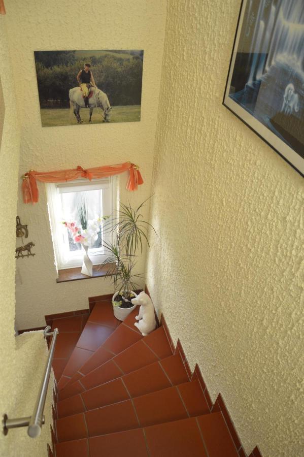 Ferienwohnung Auszeit Waxweiler Exteriör bild